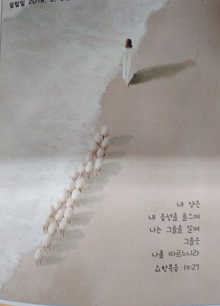 주일 주일