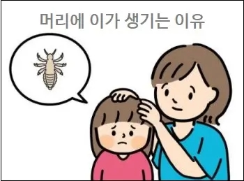  머리에 이가 생겼어요 머리에 이가 생기는 이유 머릿니 없애는법