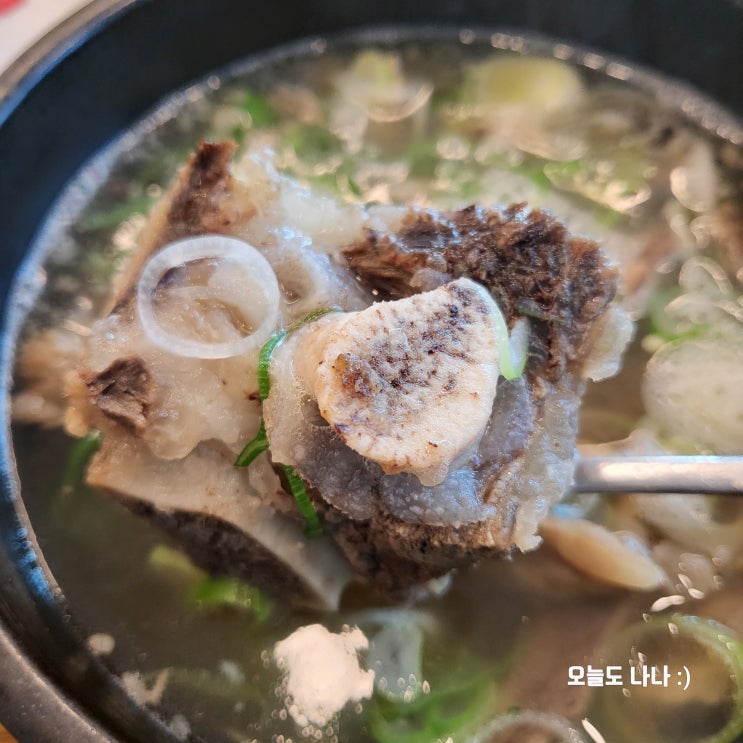  갈비탕과 육회 조합! 마무리는 카푸치노?! 지영동 맛집 임가네한우마을 지영점 :)