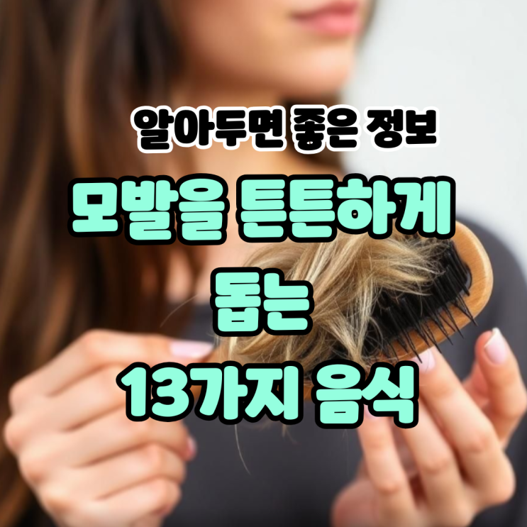  탈모의 원인은 영양 결핍 모발을 튼튼하게 돕는 13가지 음식