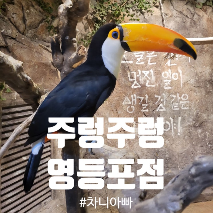  영등포 타임스퀘어 실내 동물원 주렁주렁 후기 할인정보