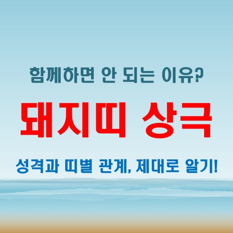  2025년 돼지띠 년생별 나이와 상극띠 함께하면 안 되는 이유