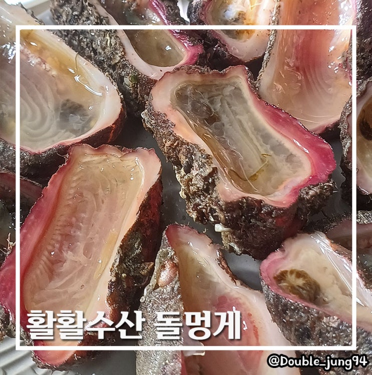  신선한 바다향이 가득한 활활수산 거제도 해남 돌멍게