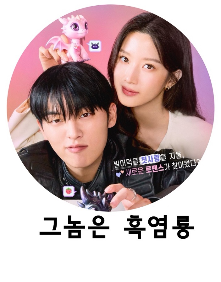<b>그놈은 흑염룡</b>, <b>문가영</b>, <b>최현욱</b>, tvN
