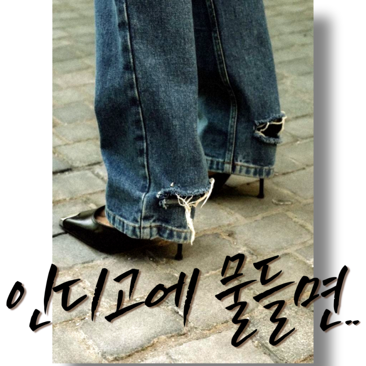  청바지를 물들인 쪽빛 식물 인디고