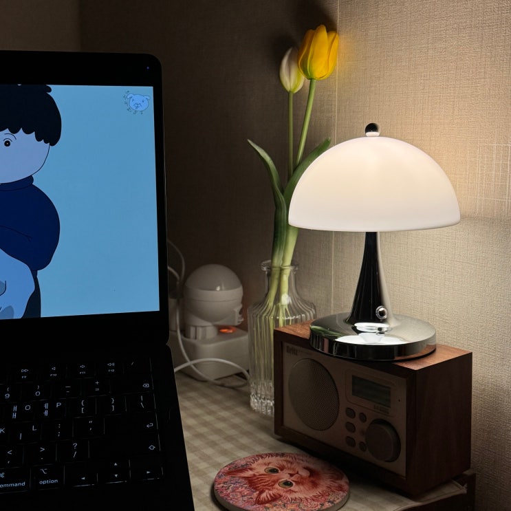  내돈내산 오늘의집 추천템 작고 실용적인 LED 머쉬룸 무선 미니 조명 사용 후기 | 밝기 빛색 변경 가능