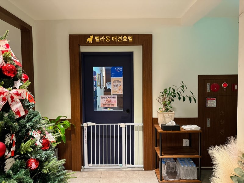 사진 6