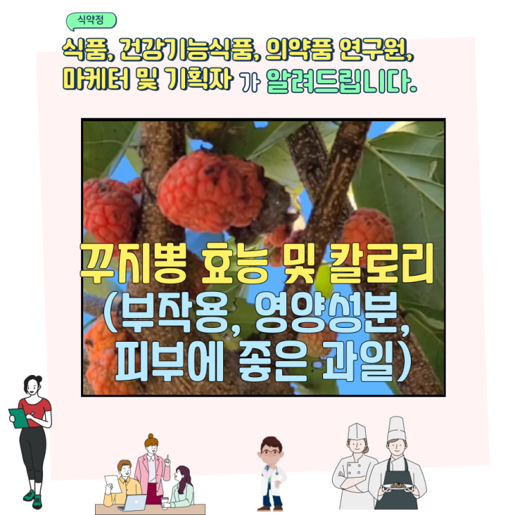  꾸지뽕 효능 및 칼로리 (부작용, 영양성분, 피부에 좋은 과일)