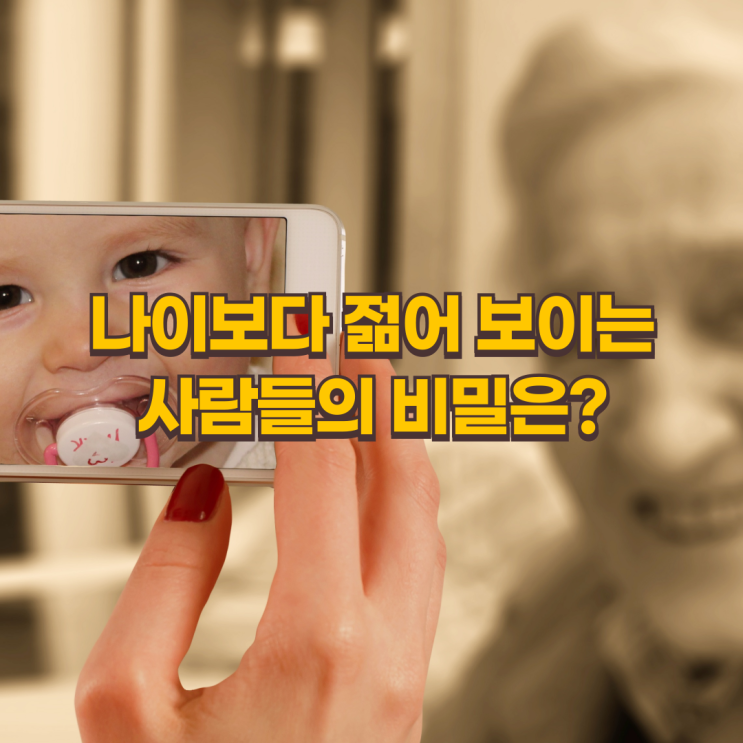  이 음식만 피하면 10년 젊어진다! 저속노화 식단