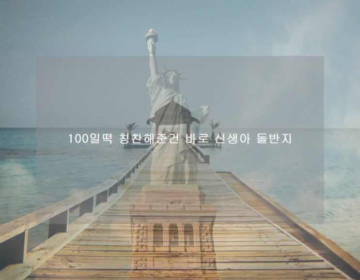  100일떡 칭찬해준건 바로 신생아 돌반지