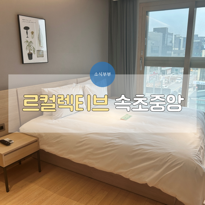  [속초] 속초 가성비 숙소, 르컬렉티브 속초중앙