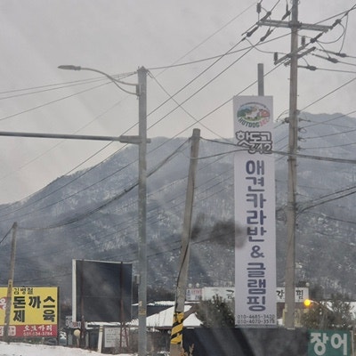 사진 12