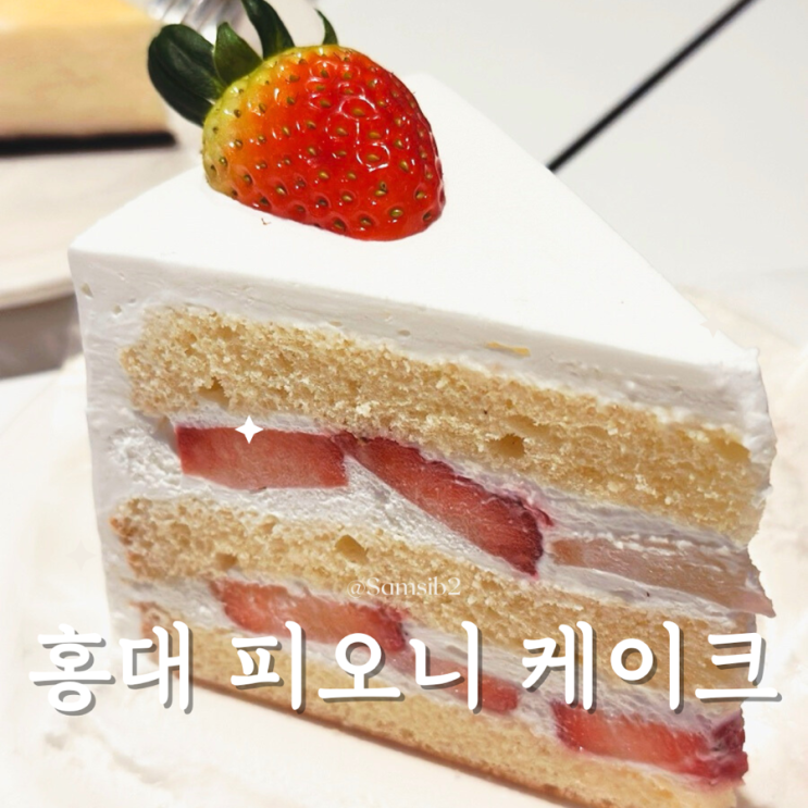  홍대 케이크 맛집 피오니 딸기 케이크 후기