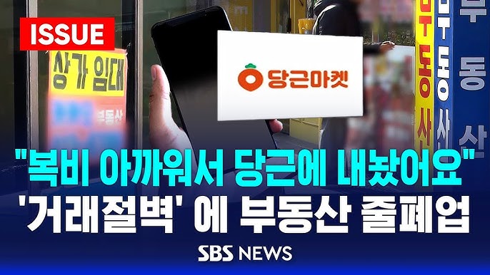 부동산 시장 한파에 공인중개업소 줄폐업..."거래는커녕 문의도 없어" 부동산 시장 한파에 공인중개업소 줄폐업..."거래는커녕 문의도 없어"