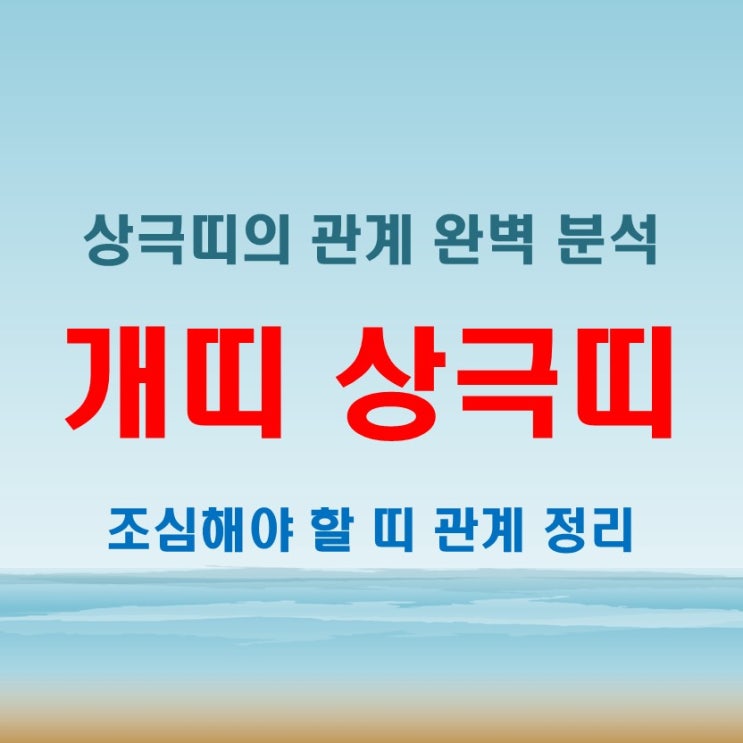  2025년 개띠 년생별 나이와 개띠 상극띠 관계 분석