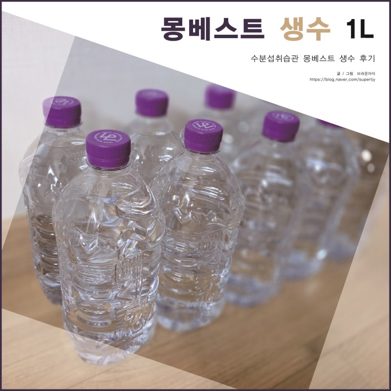 수분섭취습관 "몽베스트 미니생수1L"로 수분충전 후기!