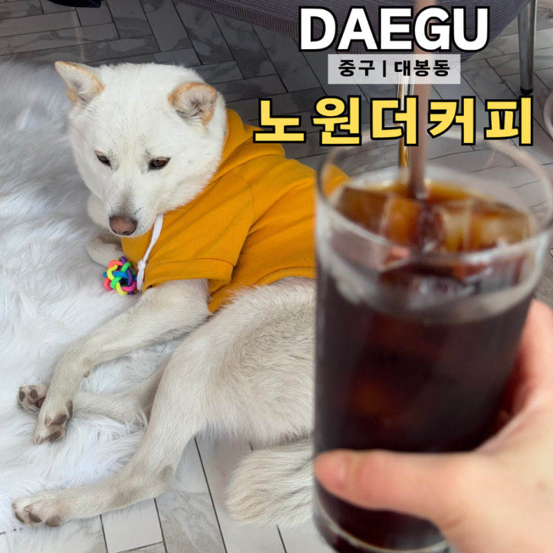 사진 5