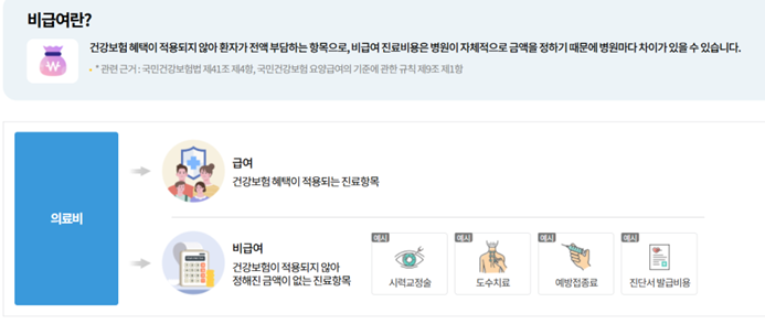  비급여 정보 조회, 내 의료비를 더 똑똑하게 관리하는 방법