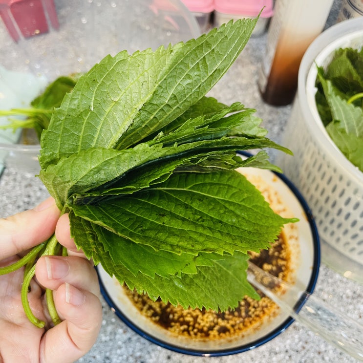  깻잎장아찌 진짜 빠르게 만드는 깻잎무침 레시피