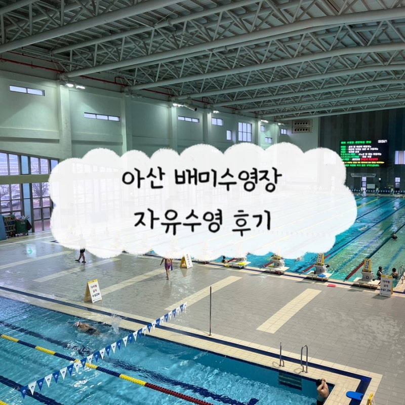 아산시 배미수영장 운영시간 주차 오리발 패들 자유수영 후기