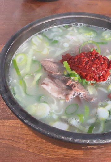  강릉 소머리 국밥 맛집 금성해장국 내돈내산