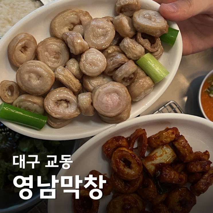  대구 교동 맛집 영남막창 핫플 술집 추천 대구 현지인 막창 맛집