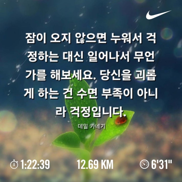 매일 10km 러닝 챌린지 1271일 차