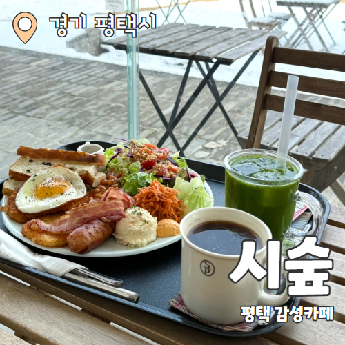  시숲 : 불멍이 가능한 평택 대형 브런치카페 추천