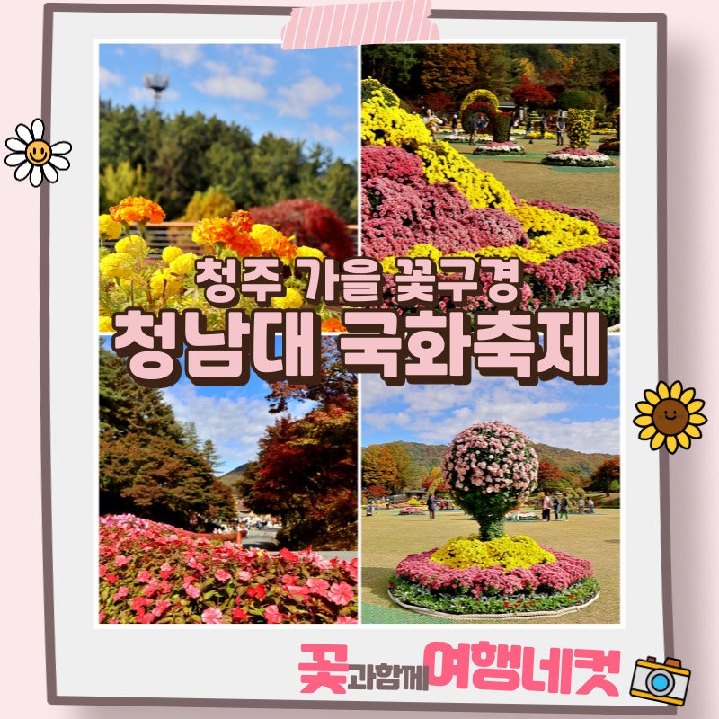 청남대 국화축제 기간 청주 대통령별장 이용 팁