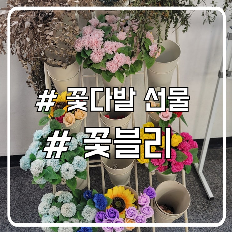 안산 고잔동 꽃집 당일주문 가능한 꽃선물 꽃블리 아글라오네마