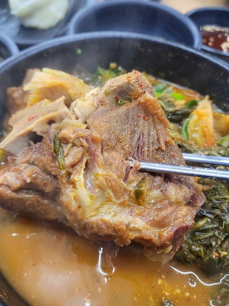  구서동 맛집 차밭골돌솥감자탕 돌솥밥 나오는 두실 밥집