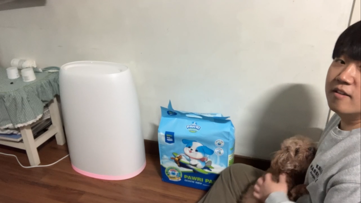  강아지 화장실 고민 끝 두꺼운 포우리 배변패드 써봤어요
