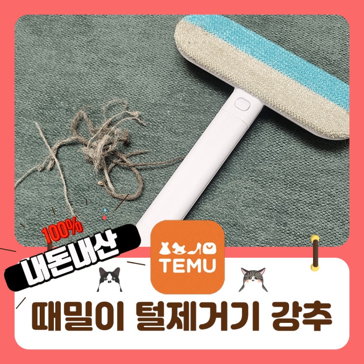  고양이털제거 테무 추천템 때밀듯 시원하게 털을 없애요