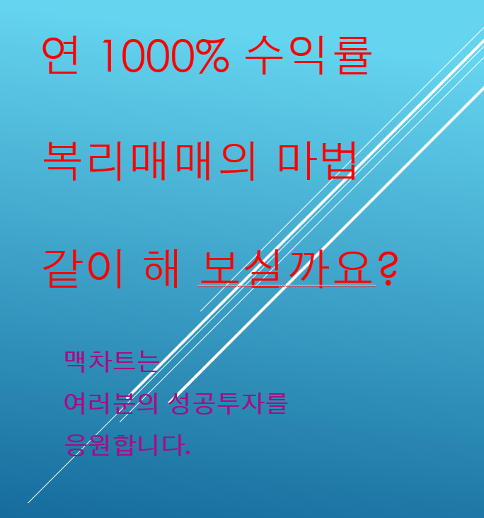 1월 누적수익 원금대비 19%수익 마감 2월 스타트는