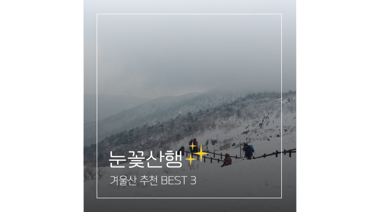 겨울산 추천 BEST 3 l 덕유산 인제 자작나무숲 한라산 눈꽃산행 겨울산 추천 BEST 3 l 덕유산 인제 자작나무숲 한라산 눈꽃산행