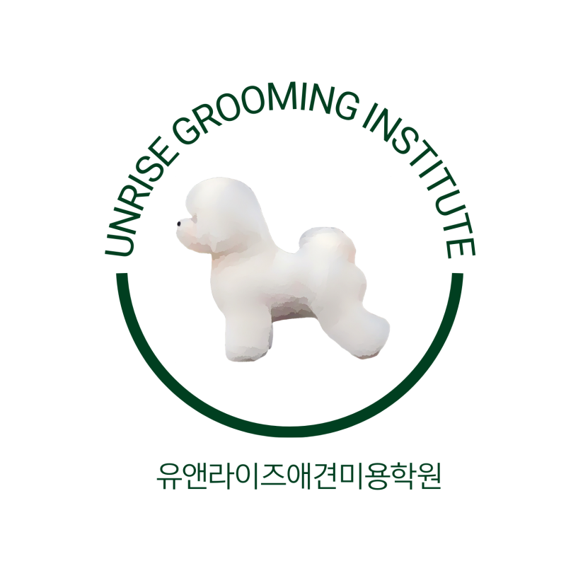사진 2