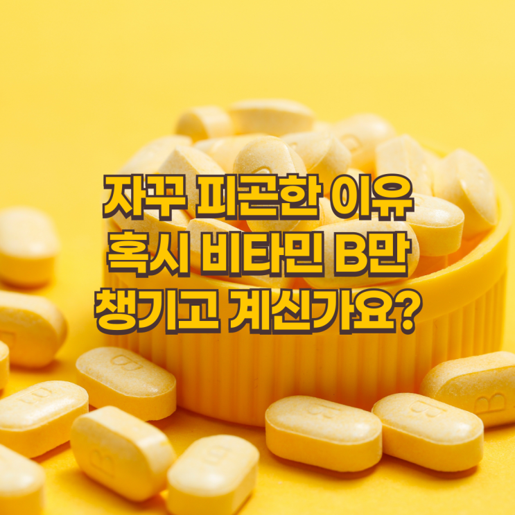  비타민 B만 챙기고 계신가요? 코큐텐과 함께 먹어야 하는 5가지 이유!