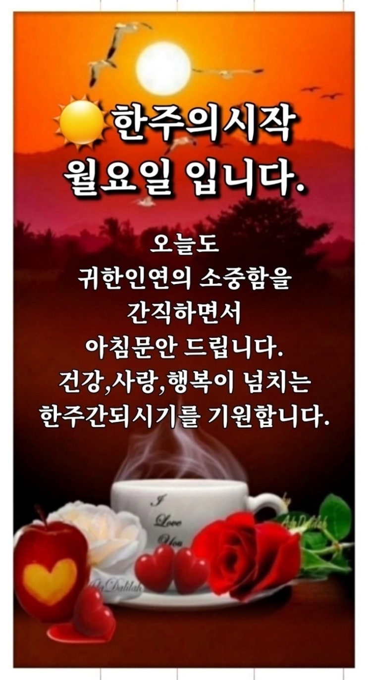  2025년 2월 첫날 월요일 아침인사 이미지, 안부 카톡 좋은글 문안인사