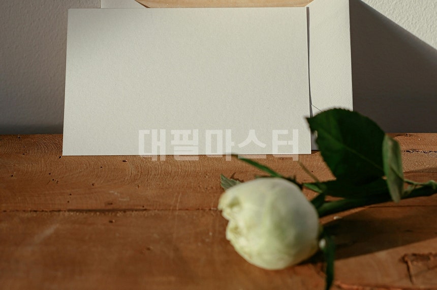탄원서작성의 효과와 이해 관련 사진