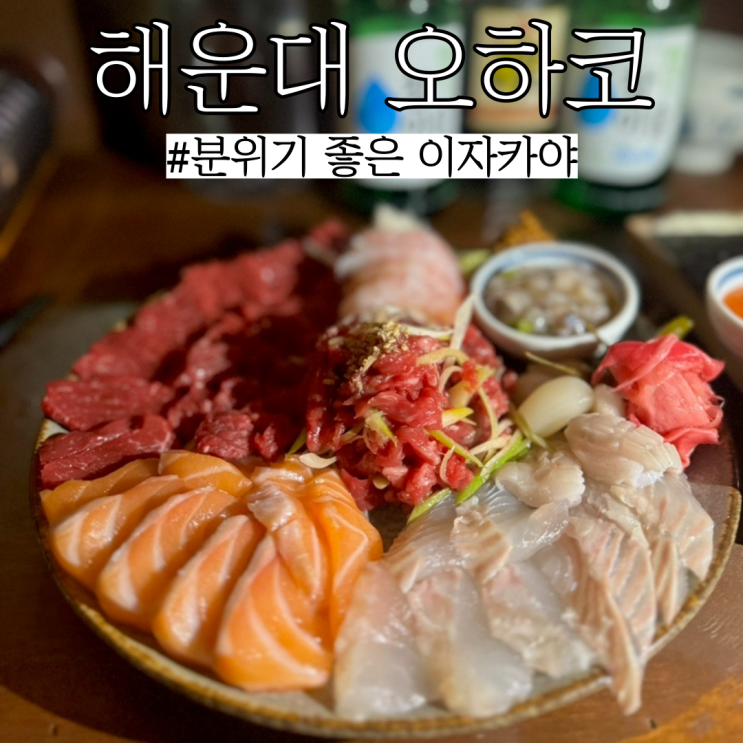  해운대술집: 신선한 사시미 맛집, 분위기 좋은 술집 장산 "오하코"