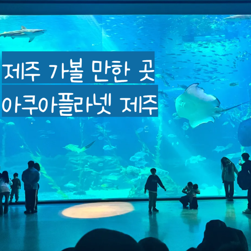 제주 아쿠아플라넷 다녀온 후기 - 푸드코트, 오션아레나
