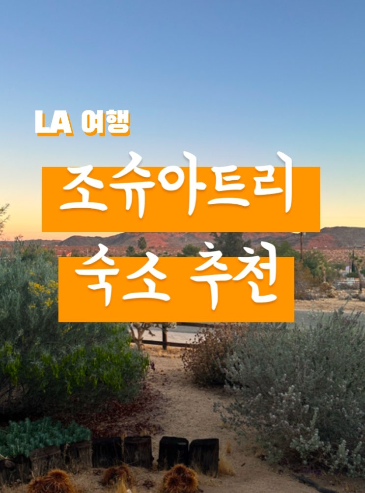  LA근교 조슈아트리 투어없이 자유롭게 즐기는 법! 감성 숙소 추천