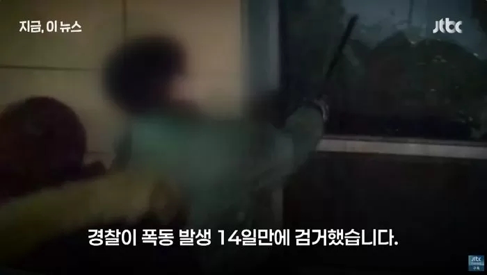 때려부수던 '<b>녹색 점퍼</b>男' 결국 체포... <b>서부지법</b> 폭동 14일 만