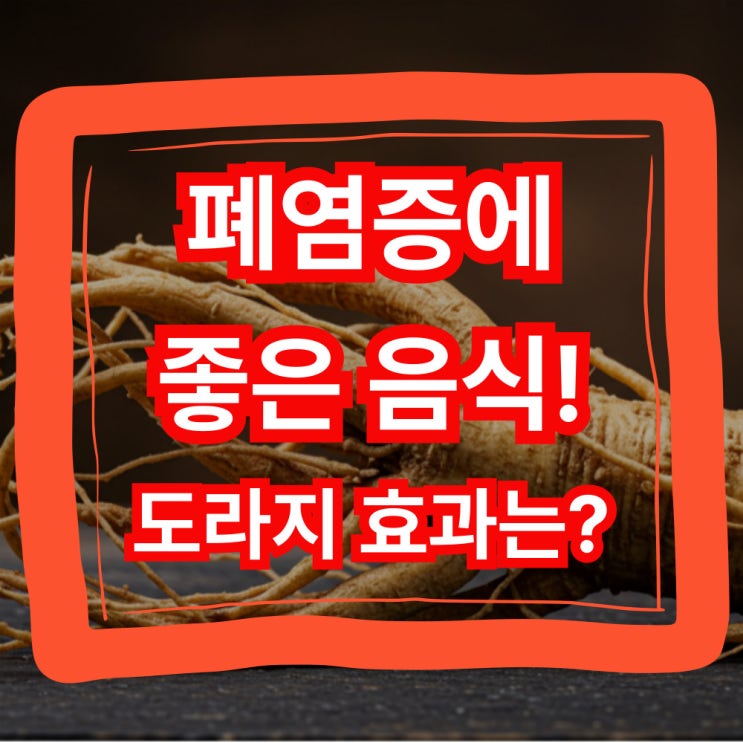  폐염증에좋은음식 도라지로 해결하기!