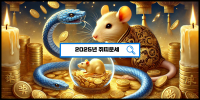  2025년 쥐띠운세 대운 공개! 기회의 해? 조심해야 할 해?