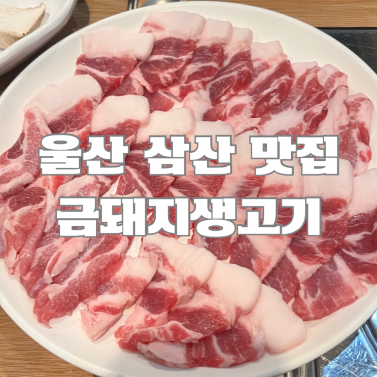  울산 삼산동 맛집 : 금돼지 생고기(울산 맛있는 꼬들목살️)