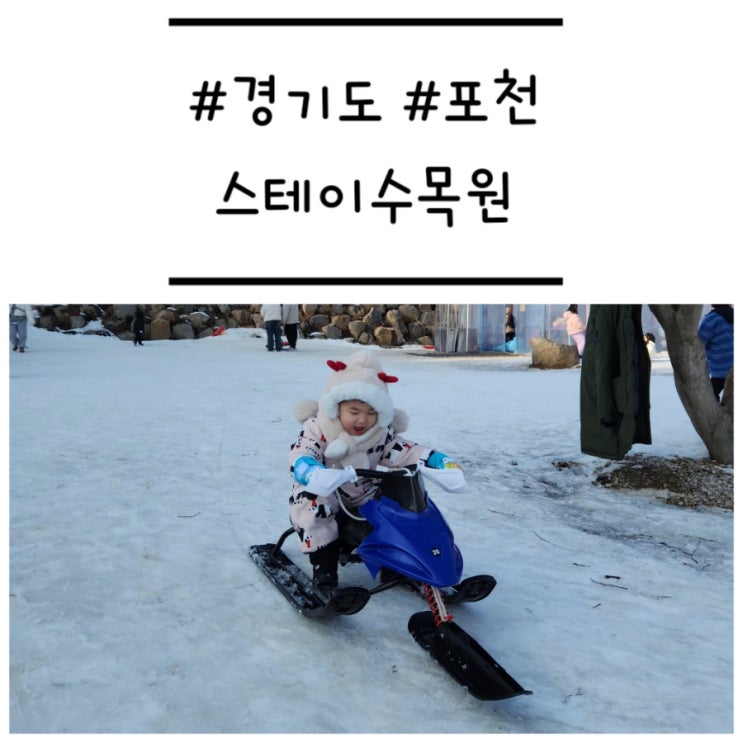  [경기도/포천] '스테이수목원' 가성비 좋은 눈썰매장 카페 강력 추천