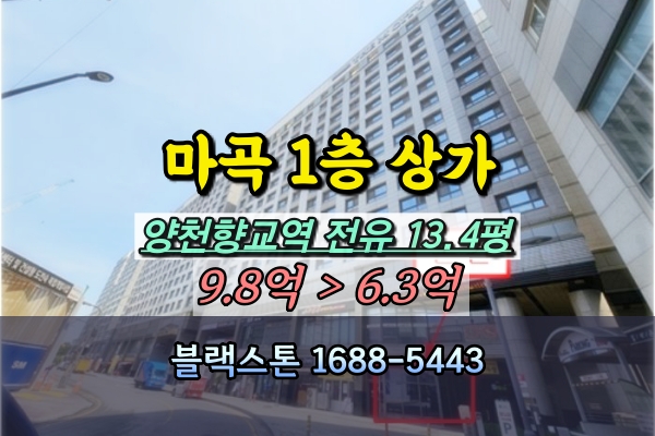  양천향교역 1층 상가 경매 마곡센트럴대방디엠시티 30평