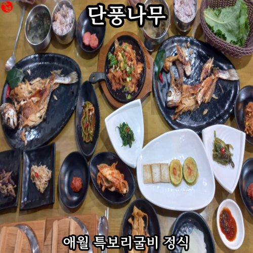 제주 애월 맛집 내돈내산 평화로 한식 추천 단풍나무