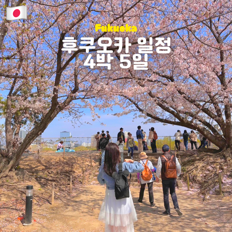  후쿠오카 벚꽃여행 4박 5일 일정 및 코스 총정리 (텐진, 하카타, 유후인, 다자이후)